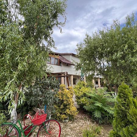 Casa Vera, Tudor Vladimirescu Tulcza Zewnętrze zdjęcie